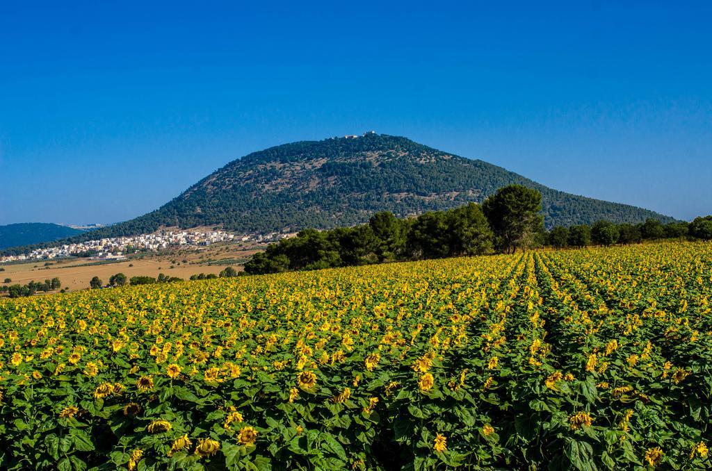 Galilee Best Location 'En Dor Exteriör bild